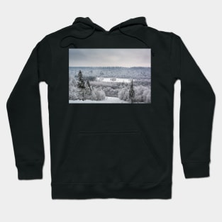 Snow covered forest Hoodie